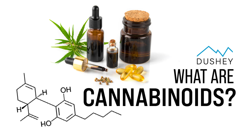 What Are Cannabinoids? Dushey CBD Blog Feature Image