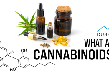 What Are Cannabinoids?